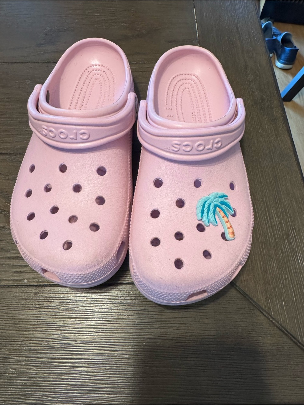 CROCS Kids Classic Clog in Light Pink with Palm Tree Charm
